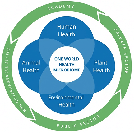 Graphique why the microbiome